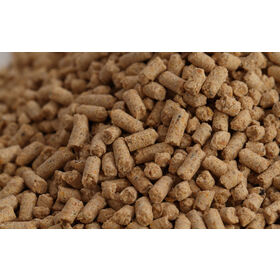 Aliment croissance ponte